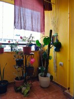 Balcony 1