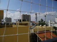 Balcony 1