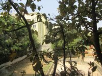 Balcony 1
