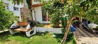 Garden 1