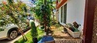 Garden 1