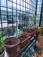 Balcony 2