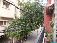 Balcony 2