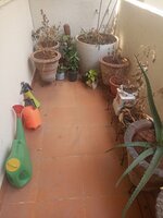 Balcony 1