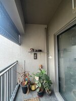 Balcony 1