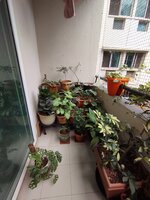 Balcony 1