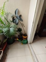 Balcony 1
