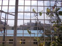 Balcony 1