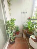 Balcony 1