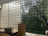 Balcony 1