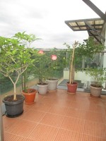 Balcony 4