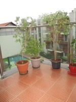 Balcony 2