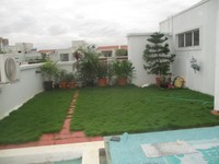 Terrace 1