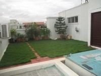 Terrace 1