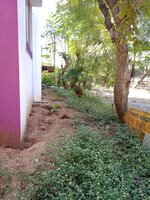Garden 1