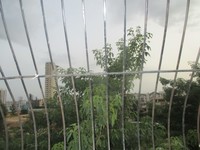 Balcony 3