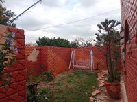 Garden 1