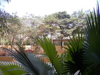 Balcony 1