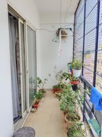 Balcony 1
