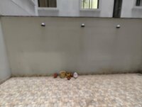 Terrace 1