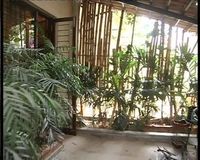 Balcony 2