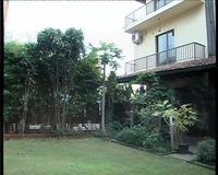 Garden 1