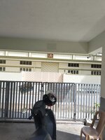parkings 1