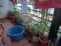 Balcony 1