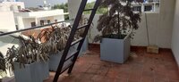 Terrace 1