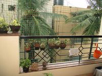 Balcony 1