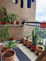 Balcony 1