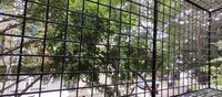 Balcony 2