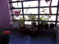 Balcony 1
