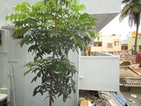 Balcony 2
