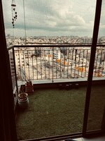 Balcony 1