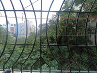 Balcony 1