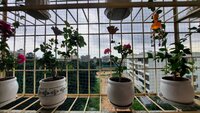 Balcony 1