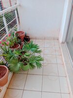 Balcony 3