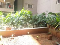 Garden 1