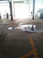parking 1