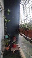 Balcony 1