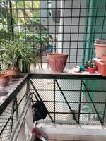 Balcony 1