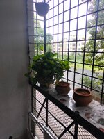 Balcony 1