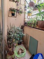 Balcony 1