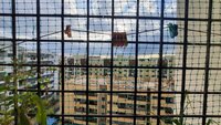 Balcony 1