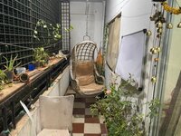 Balcony 1
