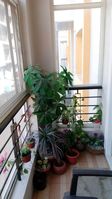 Balcony 1
