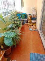 Balcony 1