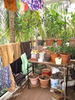 Balcony 1