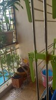 Balcony 1